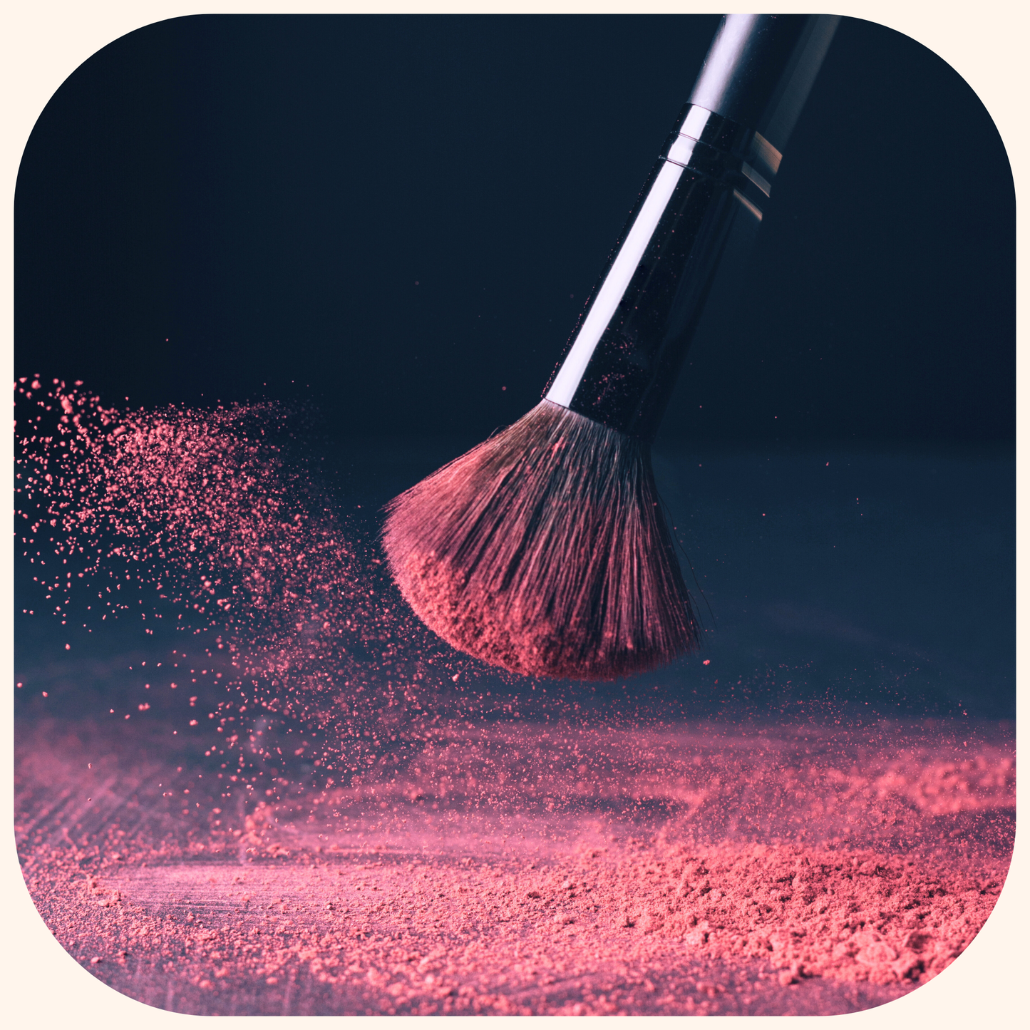 Blusher Reloaded - Blush rose