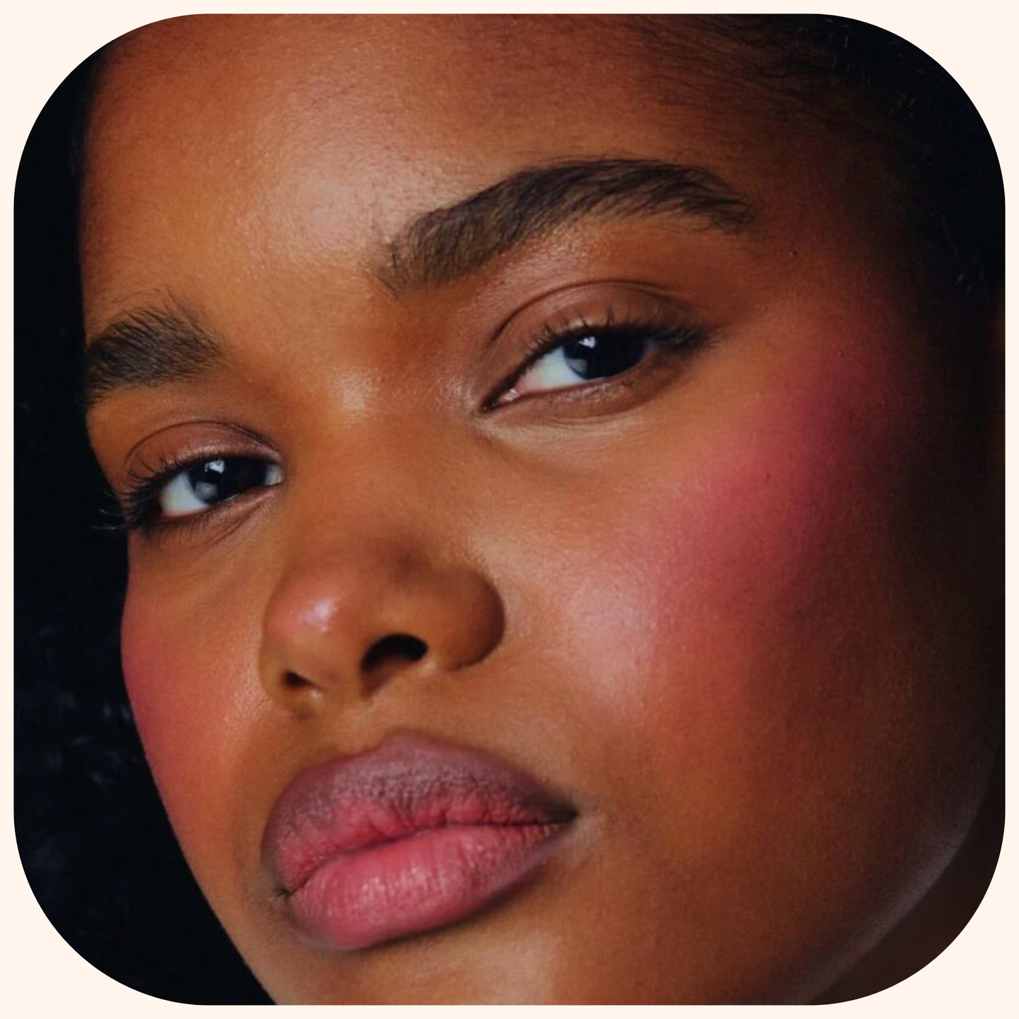 Blusher Reloaded  - Blush rose